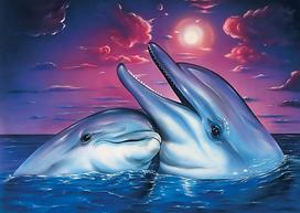 Deimantinis paveikslas Dolphins WD223 38*27 cm