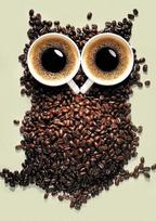 Deimantinis paveikslas Coffee Owl WD242 20*30 cm
