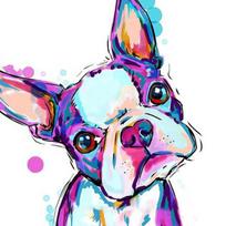 Deimantinis paveikslas Dandy Dog WD287 20*20 cm