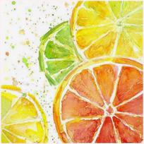 Deimantinis paveikslas Citrus Mix WD289 20*20 cm