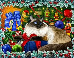 Deimantinis paveikslas Christmas Colours WD2422