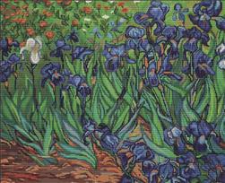 Irises, reproduction of Van Gogh SG444