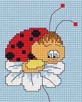 Lady Bug SB064