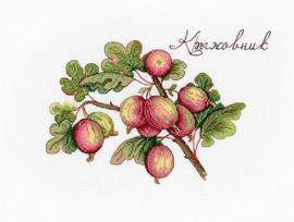 Gooseberry SNV-634 siuvinėjimo rinkinys iš MP Studija