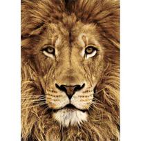 Deimantinis paveikslas Lion WD068 20*30 cm