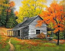 Deimantinis paveikslas House in the Woods WD101 48*38 cm