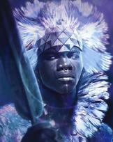 Deimantinis paveikslas King of Africa WD144 38*48 cm