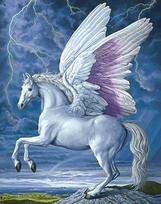 Deimantinis paveikslas Pegasus WD176 38*48 cm