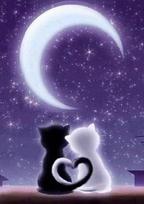 Deimantinis paveikslas Under the Moon WD204 20*30 cm