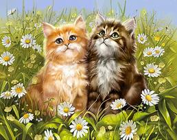 Deimantinis paveikslas Summer Kittens WD209 48*38 cm