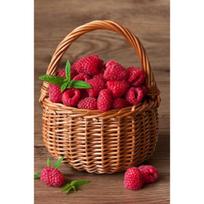 Deimantinis paveikslas Raspberry Basket WD252 27*38 cm