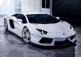Deimantinis paveikslas Lamborghini WD254 38*27 cm