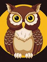 Deimantinis paveikslas Night Owl WD308 15*20 cm