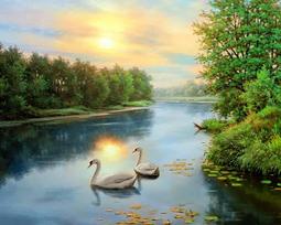 Deimantinis paveikslas Swans at dawn WD2607