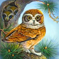 Deimantinis paveikslas Owl and Owlets WD2494