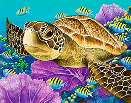 Deimantinis paveikslas Young Green Sea Turtle WD2428