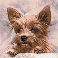 Fluffy Friend 40х40 Deimantinio Paveikslo komplektas Cs2307