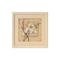 DIMENASIONS. Orchidėja (30 x 30 cm) - Siuvinėjimo kryželiu Rinkinys DIMENSIONS
