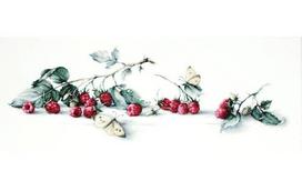 Raspberries with Butterfly SB2253