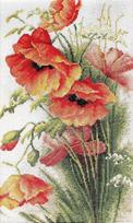 Poppies SB213