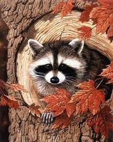 Racoon in the Tree Deimantinio Paveikslo komplektas CS2561