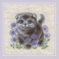 Lop-eared Kitten. Siuvinėjimo rinkinys iš RIOLIS Nr.: 2120