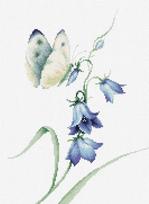 Summer delight SB2248