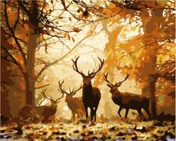 Tapybos Pagal Skaičius Rinkinys - Forest Deer 40x50 cm H001