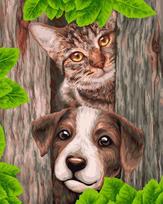 Tapybos Pagal Skaičius Rinkinys - Two Friends 40x50 cm H114