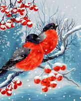 Tapybos Pagal Skaičius Rinkinys - Bullfinches 40x50 cm L026