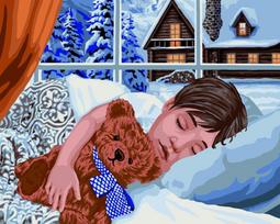 Tapybos Pagal Skaičius Rinkinys - Winter Sleep 40x50 cm L032