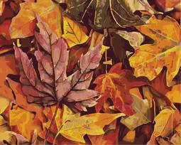 Tapybos Pagal Skaičius Rinkinys - Colourful Autumn 40x50 cm T40500306
