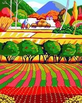 Tapybos Pagal Skaičius Rinkinys - Rainbow Field 50x40 cm T50400195