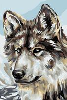 Tapybos pagal skaičius rinkinys: Wolf  29.7x21cm WA4117