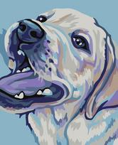 Tapybos pagal skaičius rinkinys: Labrador Retriver 16.5x13 cm MINI074