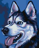 Tapybos pagal skaičius rinkinys: Husky 16.5x13 cm MINI072