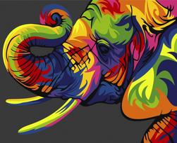 Tapybos pagal skaičius rinkinys: Rainbow elephant 16.5x13 cm MINI032