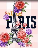 Tapybos pagal skaičius rinkinys: Salute. Paris!  40x50 cm T019