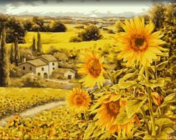 Tapybos pagal skaičius rinkinys: Sunlit fields 40x50 cm A149
