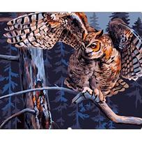 Tapybos pagal skaičius rinkinys: Night Owl 40x50 cm T028