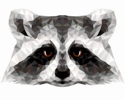 Tapybos pagal skaičius rinkinys: P006 Raccoon (polygon style) 40*50