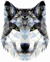 Tapybos pagal skaičius rinkinys: P004 Wolf (polygonal style) 40*50