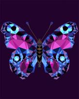 Tapybos pagal skaičius rinkinys: P003 Butterfly (polygon style) 40*50