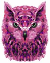 Tapybos pagal skaičius rinkinys: P002 Owl (polygon style) 40*50