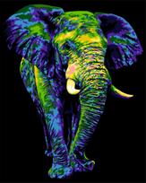 Tapybos pagal skaičius rinkinys: H135 Mysterious Elephant 40*50 H135