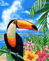 Tapybos pagal skaičius rinkinys: Toucan 40x50 cm H080
