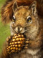 Squirrel Totem Deimantinio Paveikslo komplektas CS2567