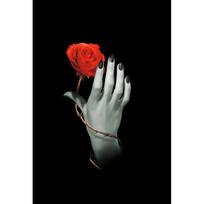 Rose Hand Užrašinė
