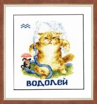 Zodiac Sign - Aquarius S/VL011