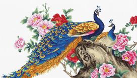 Two Peacocks SB460
